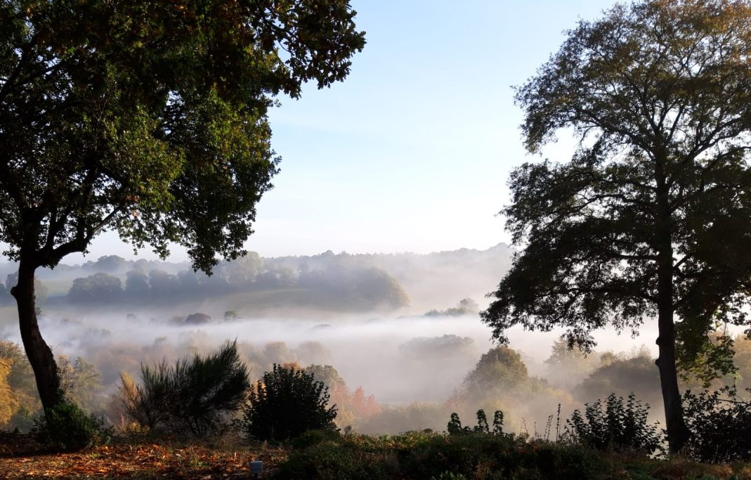 A view across the grounds I once helped shape